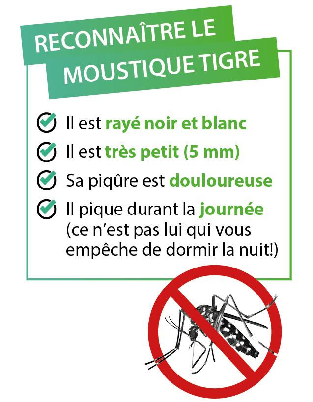 Lutte contre le MOUSTIQUE TIGRE